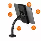 Uchwyt na tablet TOUGH WALL/TABLE